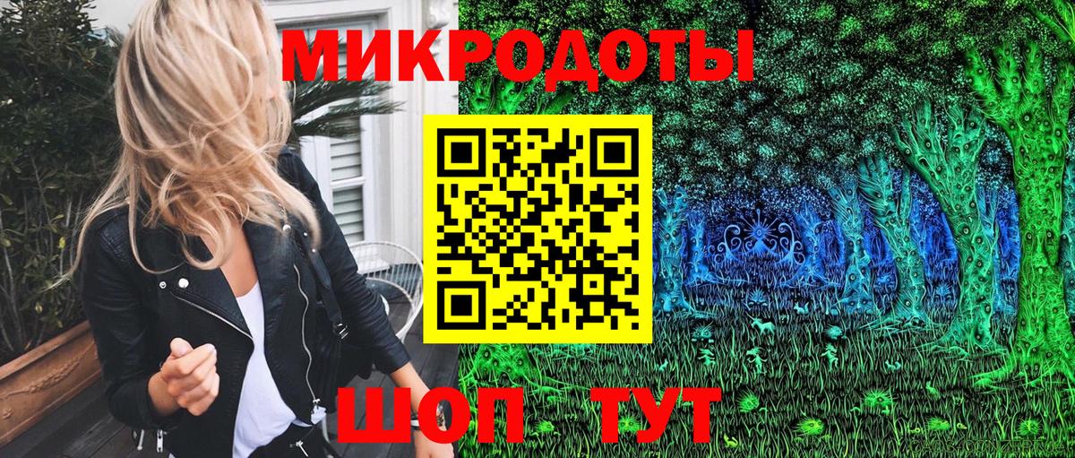 Псилоцибиновые грибы Psilocybe Астрахань