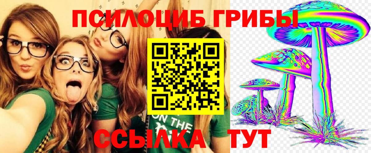 Галлюциногенные грибы мицелий Астрахань