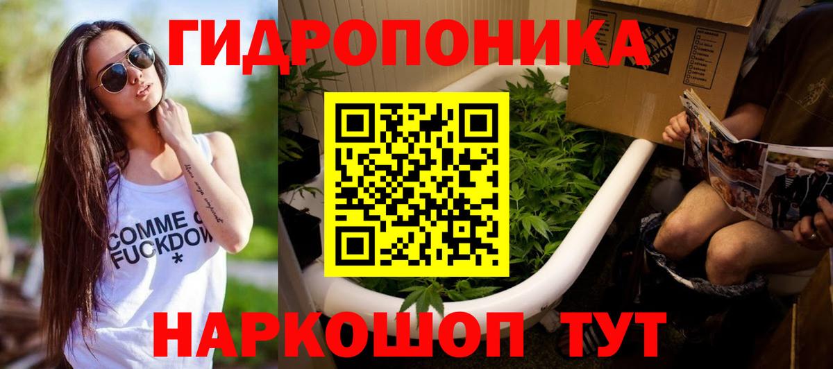 Канабис OG Kush Астрахань